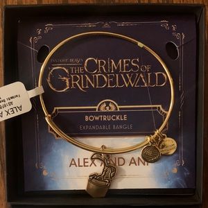 Alex and Ani Bangle
